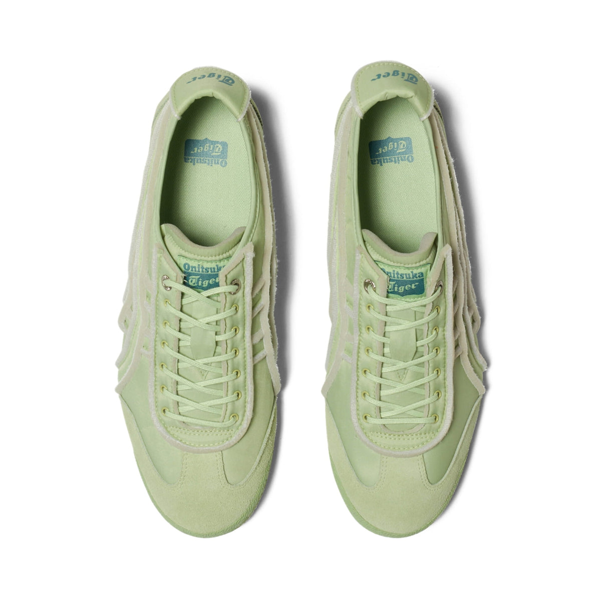 UNISEX SD (JADE/JADE)
